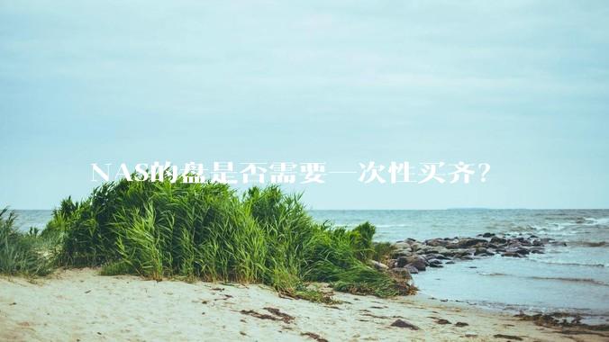 NAS的盘是否需要一次性买齐？